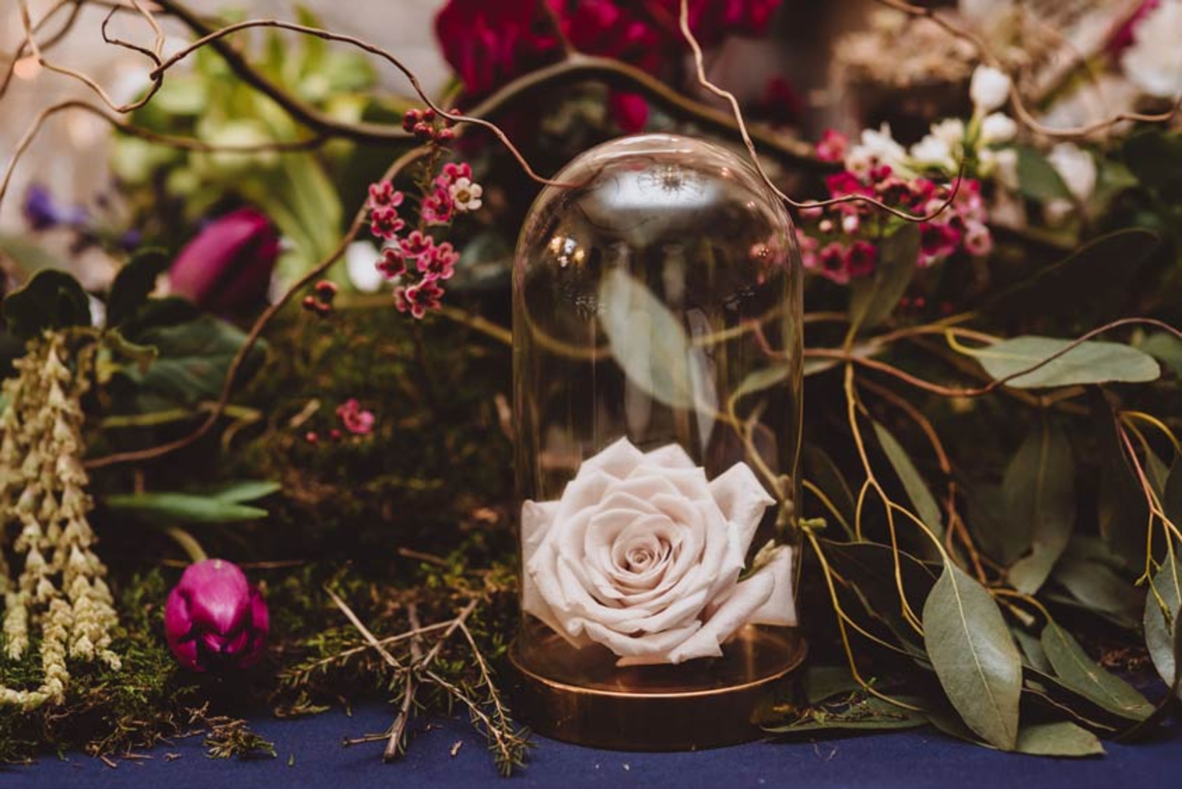 121_prestwold_hall_wedding_18