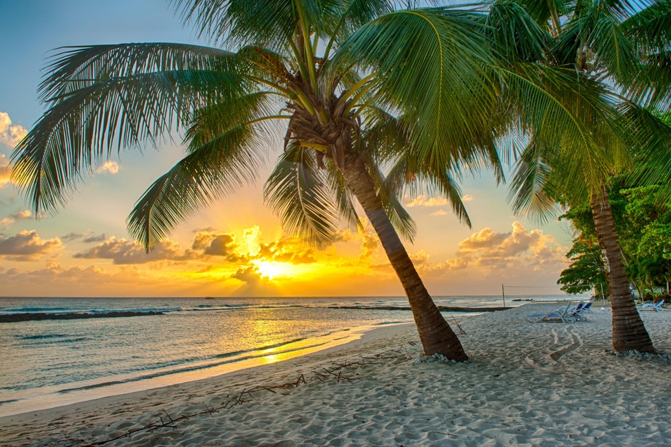 Barbados Weddings