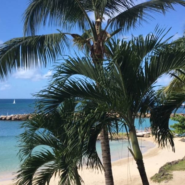 Destination Saint Lucia - Beautiful Beaches, Breathtaking Mountains and So Much More